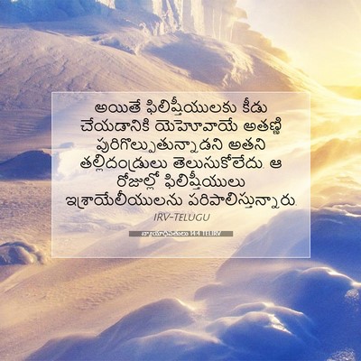 Picture 07 - న్యాయాధిపతులు 14:4 TELIRV - అయితే - Bible Verse Picture