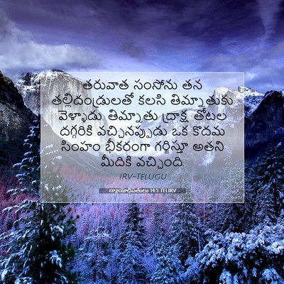 Picture 07 - న్యాయాధిపతులు 14:5 TELIRV - తరువాత సంసోను తన - Bible Verse Picture