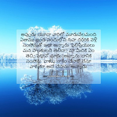 Picture 07 - న్యాయాధిపతులు 15:11 TELIRV - అప్పుడు యూదా - Bible Verse Picture