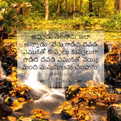 Picture 07 - న్యాయాధిపతులు 15:16 TELIRV - అప్పుడు సంసోను - Bible Verse Picture