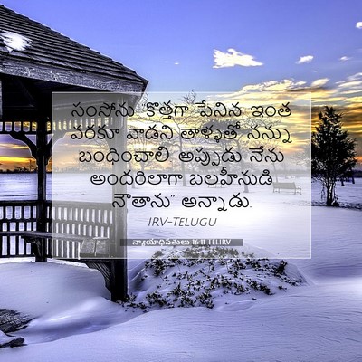Picture 07 - న్యాయాధిపతులు 16:11 TELIRV - సంసోను “కొత్తగా - Bible Verse Picture
