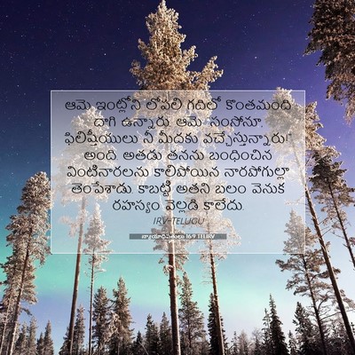 Picture 07 - న్యాయాధిపతులు 16:9 TELIRV - ఆమె ఇంట్లోని - Bible Verse Picture
