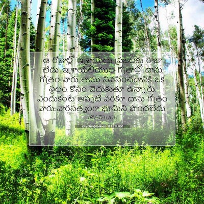 Picture 07 - న్యాయాధిపతులు 18:1 TELIRV - ఆ రోజుల్లో - Bible Verse Picture