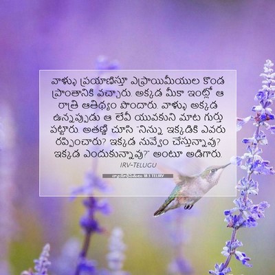 Picture 07 - న్యాయాధిపతులు 18:3 TELIRV - వాళ్ళు - Bible Verse Picture