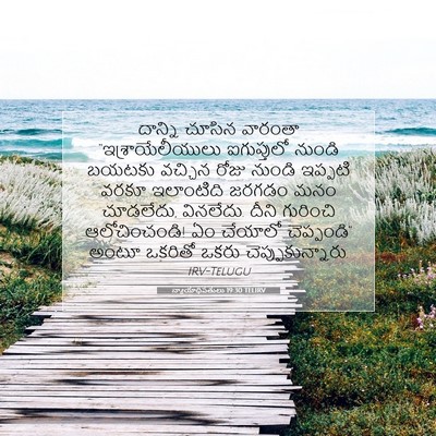 Picture 07 - న్యాయాధిపతులు 19:30 TELIRV - దాన్ని చూసిన - Bible Verse Picture
