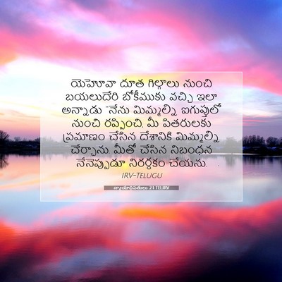 Picture 07 - న్యాయాధిపతులు 2:1 TELIRV - యెహోవా దూత - Bible Verse Picture