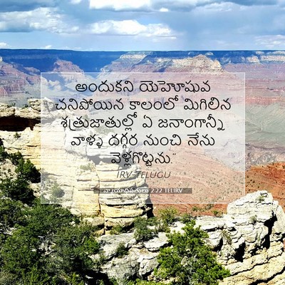 Picture 07 - న్యాయాధిపతులు 2:22 TELIRV - అందుకని యెహోషువ - Bible Verse Picture