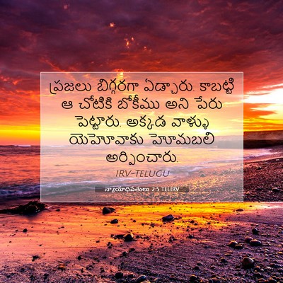 Picture 07 - న్యాయాధిపతులు 2:5 TELIRV - ప్రజలు బిగ్గరగా - Bible Verse Picture