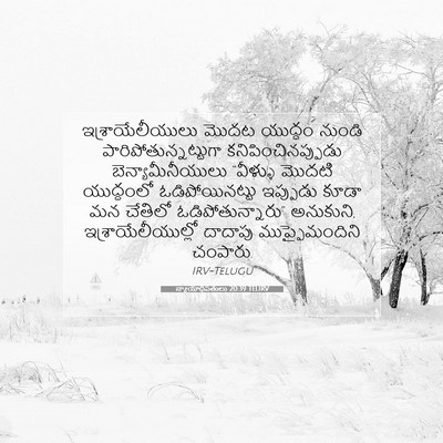 Picture 07 - న్యాయాధిపతులు 20:39 TELIRV - ఇశ్రాయేలీయులు - Bible Verse Picture