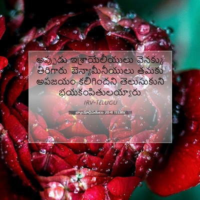 Picture 07 - న్యాయాధిపతులు 20:41 TELIRV - అప్పుడు - Bible Verse Picture