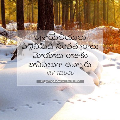 Picture 07 - న్యాయాధిపతులు 3:14 TELIRV - ఇశ్రాయేలీయులు - Bible Verse Picture