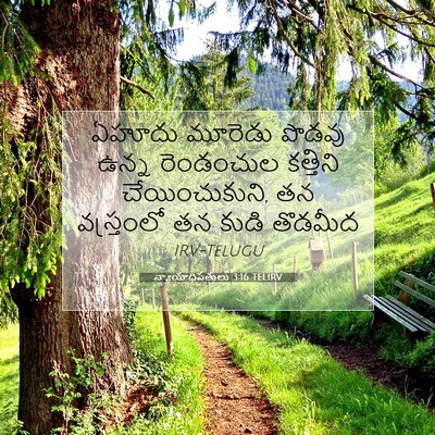 Picture 07 - న్యాయాధిపతులు 3:16 TELIRV - ఏహూదు మూరెడు - Bible Verse Picture