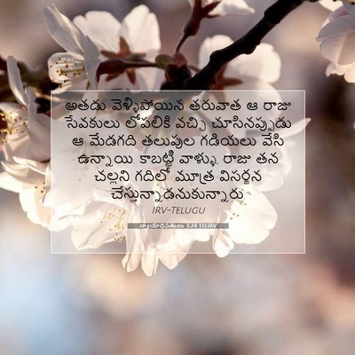 Picture 07 - న్యాయాధిపతులు 3:24 TELIRV - అతడు వెళ్ళిపోయిన - Bible Verse Picture