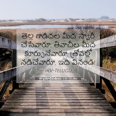 Picture 07 - న్యాయాధిపతులు 5:10 TELIRV - తెల్ల గాడిదల మీద - Bible Verse Picture