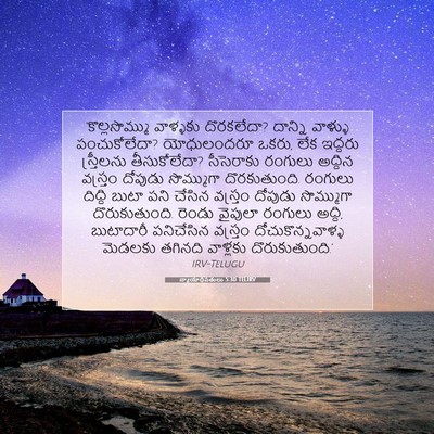 Picture 07 - న్యాయాధిపతులు 5:30 TELIRV - ‘కొల్లసొమ్ము - Bible Verse Picture