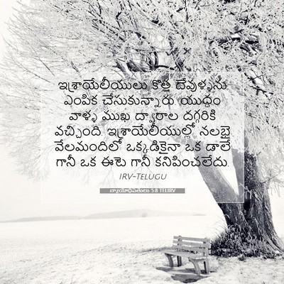 Picture 07 - న్యాయాధిపతులు 5:8 TELIRV - ఇశ్రాయేలీయులు - Bible Verse Picture