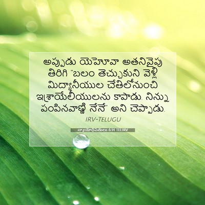 Picture 07 - న్యాయాధిపతులు 6:14 TELIRV - అప్పుడు యెహోవా - Bible Verse Picture