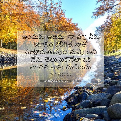 Picture 07 - న్యాయాధిపతులు 6:17 TELIRV - అందుకు అతడు “నా - Bible Verse Picture