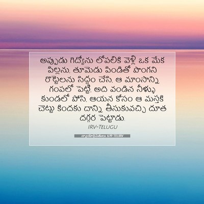 Picture 07 - న్యాయాధిపతులు 6:19 TELIRV - అప్పుడు గిద్యోను - Bible Verse Picture