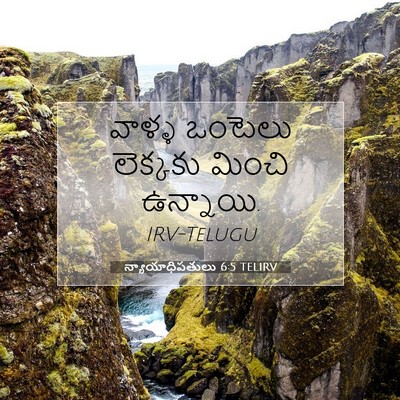Picture 07 - న్యాయాధిపతులు 6:5 TELIRV - వాళ్ళ ఒంటెలు - Bible Verse Picture