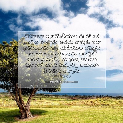 Picture 07 - న్యాయాధిపతులు 6:8 TELIRV - యెహోవా - Bible Verse Picture