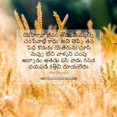 Picture 07 - న్యాయాధిపతులు 8:20 TELIRV - యెహోవా జీవం తోడు, - Bible Verse Picture