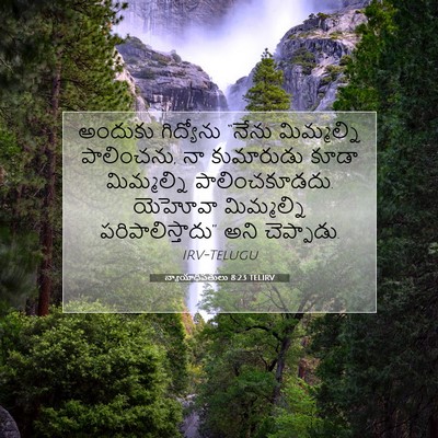 Picture 07 - న్యాయాధిపతులు 8:23 TELIRV - అందుకు గిద్యోను - Bible Verse Picture