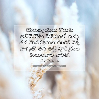Picture 07 - న్యాయాధిపతులు 9:1 TELIRV - యెరుబ్బయలు కొడుకు - Bible Verse Picture