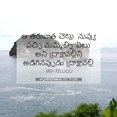 Picture 07 - న్యాయాధిపతులు 9:12 TELIRV - ఆ తరువాత చెట్లు, - Bible Verse Picture