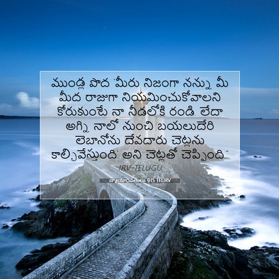 Picture 07 - న్యాయాధిపతులు 9:15 TELIRV - ముండ్ల పొద ‘మీరు - Bible Verse Picture