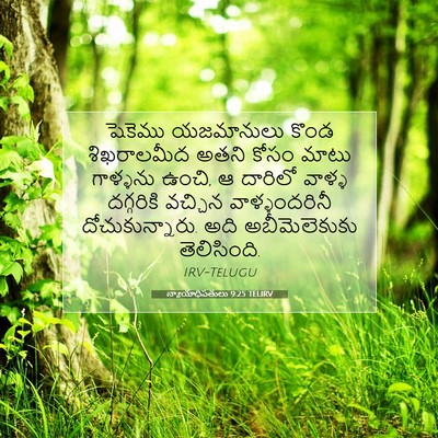 Picture 07 - న్యాయాధిపతులు 9:25 TELIRV - షెకెము యజమానులు - Bible Verse Picture