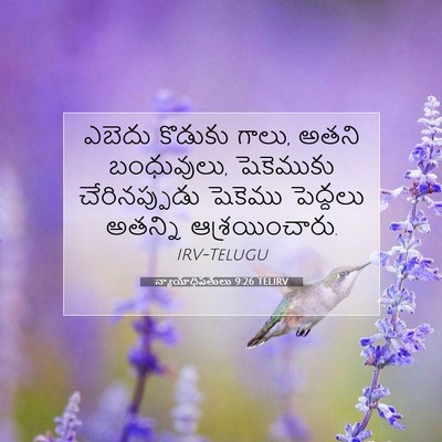 Picture 07 - న్యాయాధిపతులు 9:26 TELIRV - ఎబెదు కొడుకు గాలు, - Bible Verse Picture