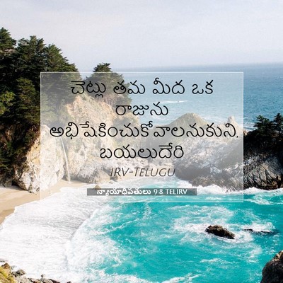 Picture 07 - న్యాయాధిపతులు 9:8 TELIRV - చెట్లు తమ మీద ఒక - Bible Verse Picture