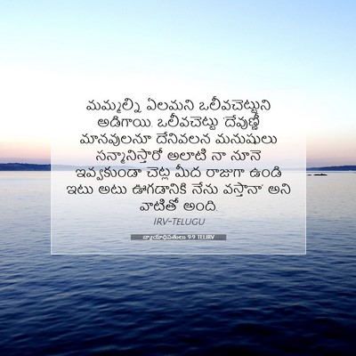Picture 07 - న్యాయాధిపతులు 9:9 TELIRV - మమ్మల్ని ఏలమని - Bible Verse Picture