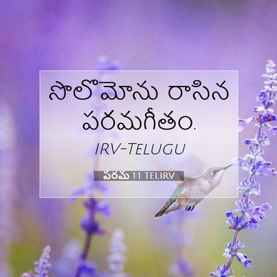 Picture 07 - పరమ 1:1 TELIRV - సొలొమోను రాసిన - Bible Verse Picture