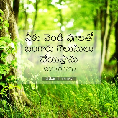 Picture 07 - పరమ 1:11 TELIRV - నీకు వెండి పూలతో - Bible Verse Picture