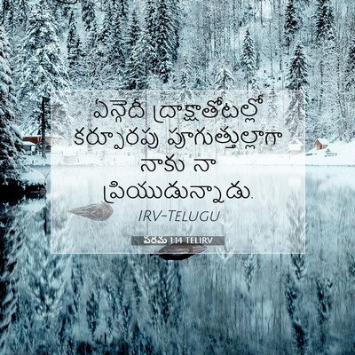 Picture 07 - పరమ 1:14 TELIRV - ఏన్గెదీ - Bible Verse Picture
