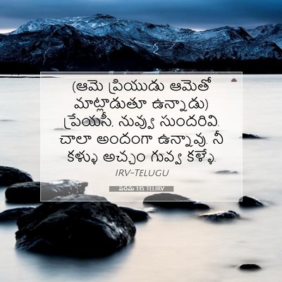 Picture 07 - పరమ 1:15 TELIRV - (ఆమె ప్రియుడు - Bible Verse Picture