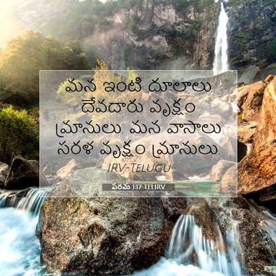Picture 07 - పరమ 1:17 TELIRV - మన ఇంటి దూలాలు - Bible Verse Picture
