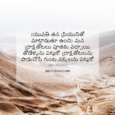 Picture 07 - పరమ 2:15 TELIRV - (యువతి తన - Bible Verse Picture