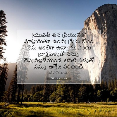 Picture 07 - పరమ 2:5 TELIRV - (యువతి తన - Bible Verse Picture