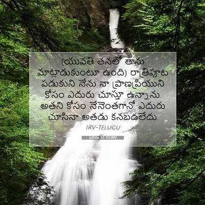 Picture 07 - పరమ 3:1 TELIRV - (యువతి తనలో తాను - Bible Verse Picture
