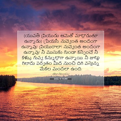 Picture 07 - పరమ 4:1 TELIRV - (యువతి ప్రియుడు - Bible Verse Picture