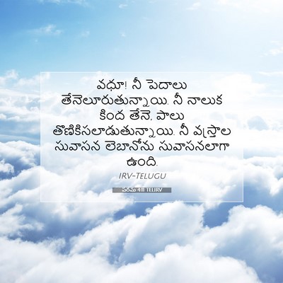 Picture 07 - పరమ 4:11 TELIRV - వధూ! నీ పెదాలు - Bible Verse Picture