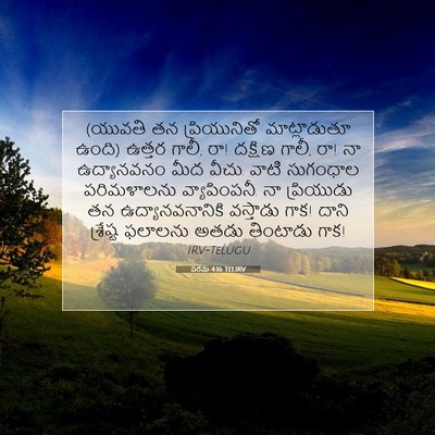 Picture 07 - పరమ 4:16 TELIRV - (యువతి తన - Bible Verse Picture