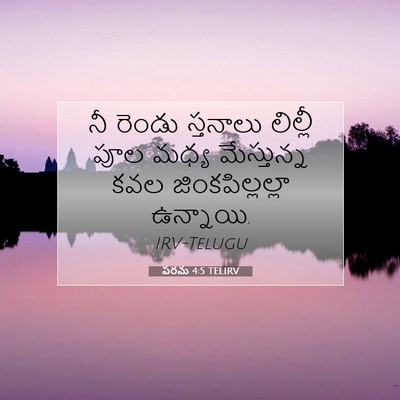 Picture 07 - పరమ 4:5 TELIRV - నీ రెండు స్తనాలు - Bible Verse Picture