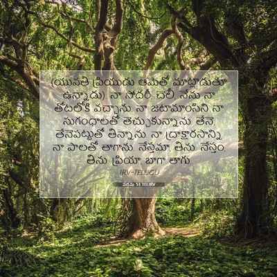 Picture 07 - పరమ 5:1 TELIRV - (యువతి ప్రియుడు - Bible Verse Picture