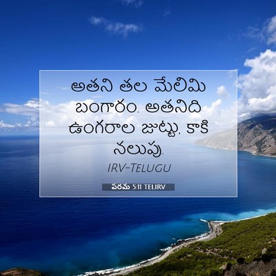 Picture 07 - పరమ 5:11 TELIRV - అతని తల మేలిమి - Bible Verse Picture