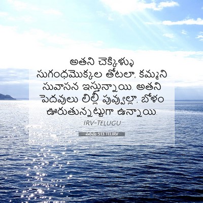 Picture 07 - పరమ 5:13 TELIRV - అతని చెక్కిళ్ళు - Bible Verse Picture