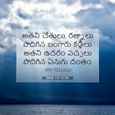 Picture 07 - పరమ 5:14 TELIRV - అతని చేతులు, - Bible Verse Picture